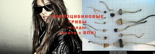 героин Богданович